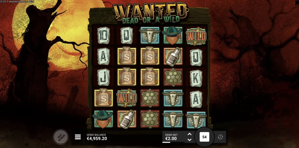 Wanted Dead Or A Wild