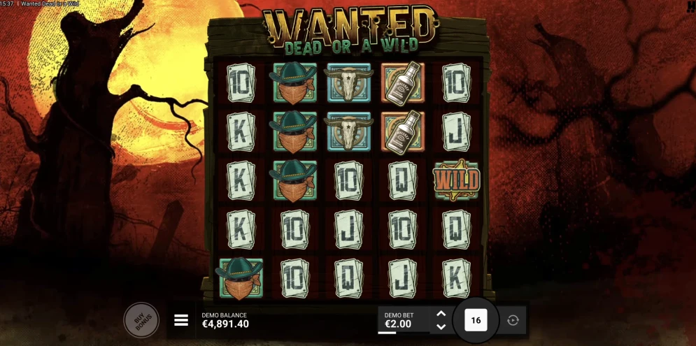 Wanted Dead Or A Wild